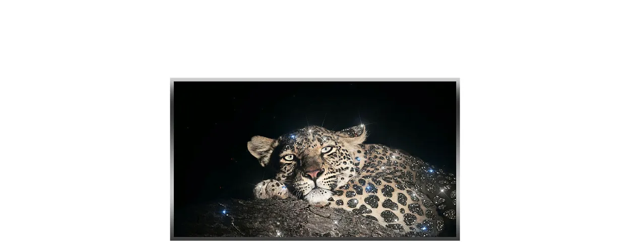 Leopard Night Vision Example LEOPARD NIGHT